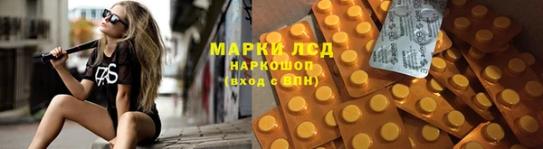 стаф Алексеевка