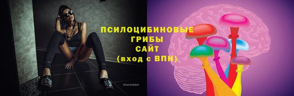 стаф Алексеевка