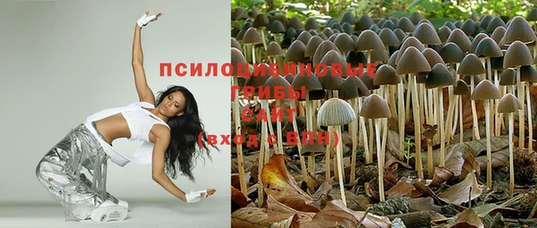 кокс Алзамай