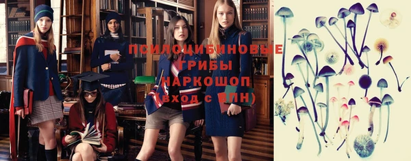 спиды Алексин