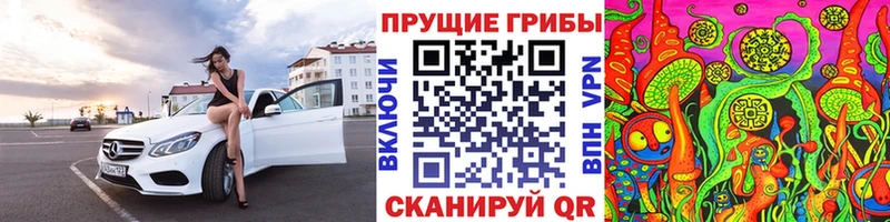 наркотики  Татарск  Псилоцибиновые грибы Magic Shrooms 