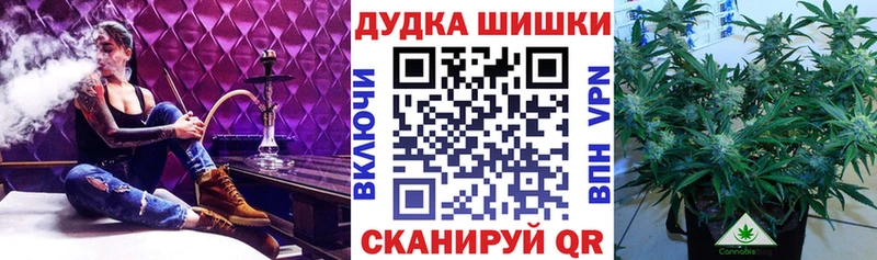 сколько стоит  Татарск  Каннабис семена 